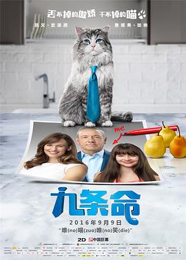 毛片网站免费观看