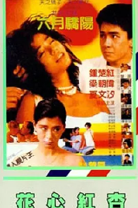 婷婷精品进入